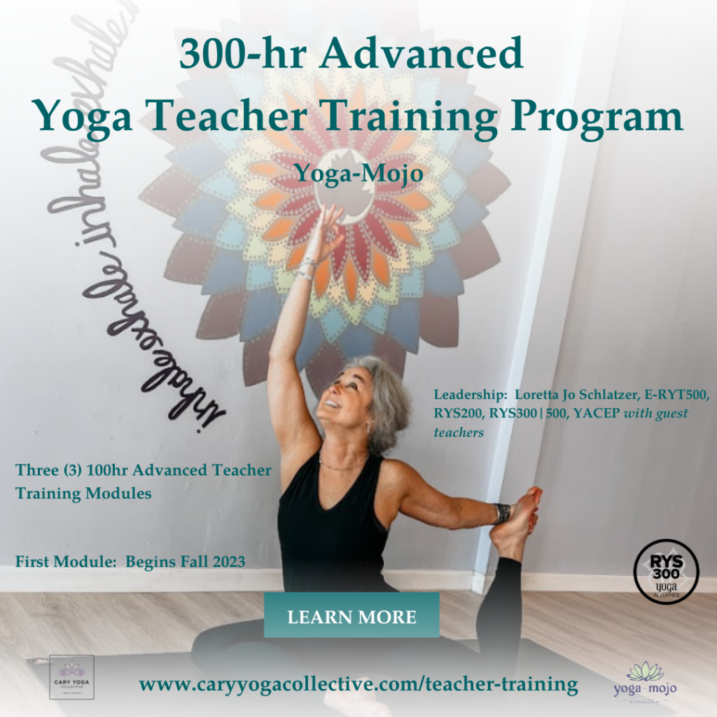 RYT500 Training: Teaching Slow Flow Yoga — PYI